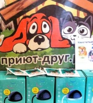 Акция «Наряди приют»: как «Погуляй собаку» и Camelion объединились для помощи