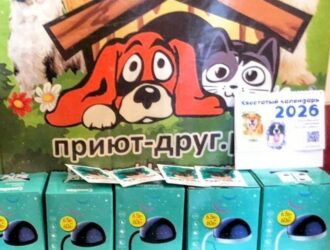 Акция «Наряди приют»: как «Погуляй собаку» и Camelion объединились для помощи