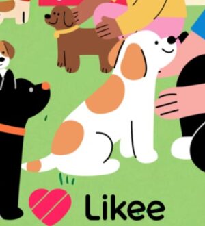 В День бездомных животных Likee и «Добролап» проводят Неделю любви к питомцам: треки от звезд, усыновление питомцев и фестиваль в Москве