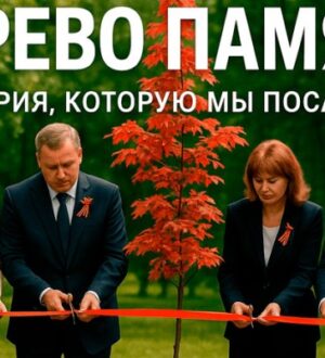 В Одинцово в Парке Лазутиной посадят лес из красного клена, в честь 80-й годовщины Дня Победы