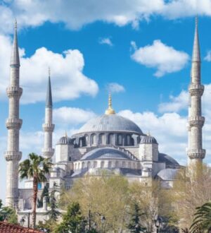 Открытие бизнеса в Турции: подводные камни 2025 года