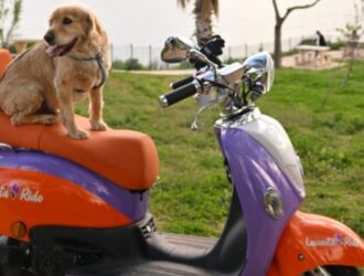 Lavanta.Ride: В Анталии открывается новый проект для поминутной аренды и инвестиций в скутеры для передвижения по городу
