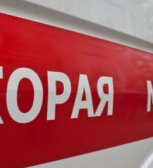 В Подмосковье 8-летняя девочка получила сложный перелом на занятии по верховой езде с инструктором